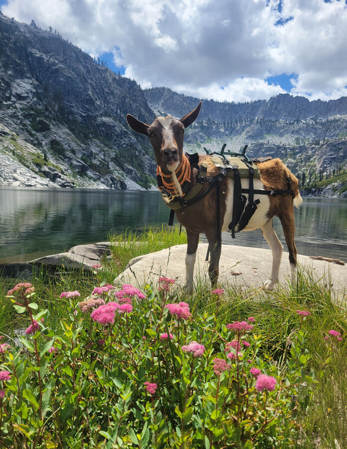Sapphire Lake Trinity Alps Wilderness